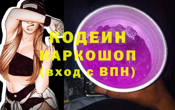 прущие грибы Михайлов