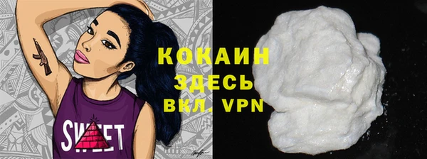 прущие грибы Михайлов