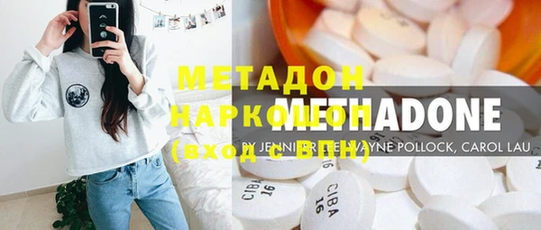прущие грибы Михайлов