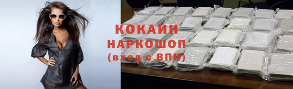 трава Наволоки