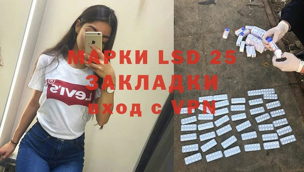 трава Наволоки