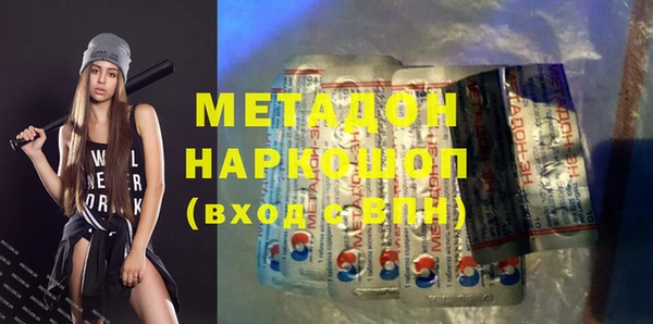 прущие грибы Михайлов