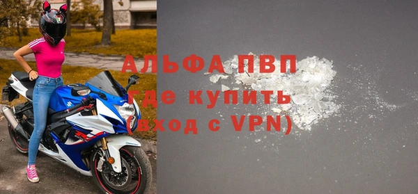 прущие грибы Михайлов