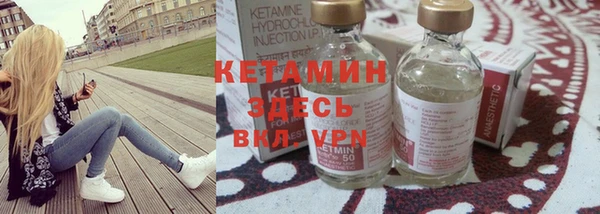 прущие грибы Михайлов