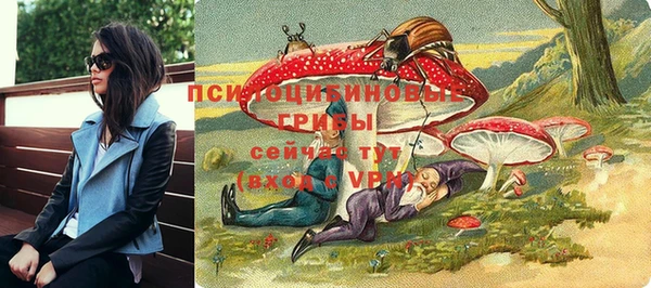 трава Наволоки