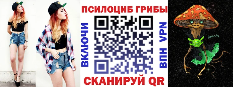 Псилоцибиновые грибы Psilocybe  Купить закладки  Задонск 